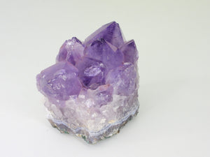 Beautiful Amethyst cluster with inclusions. Close up