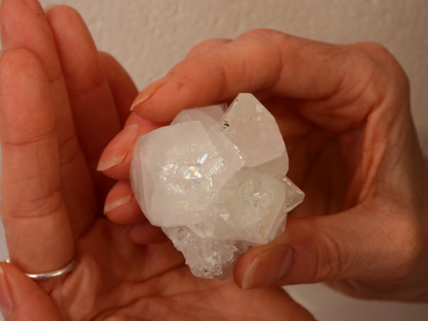 Clear Apophyllite cluster