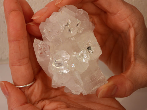 Clear Apophyllite cluster