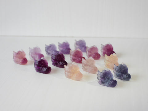 Mini Fluorite dragon heads