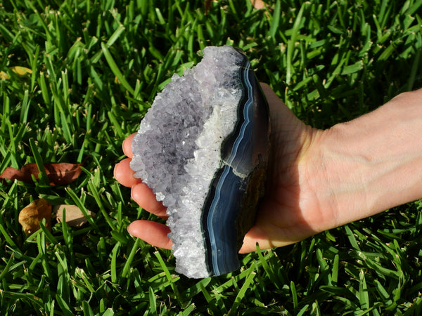 Standing Amethyst cluster