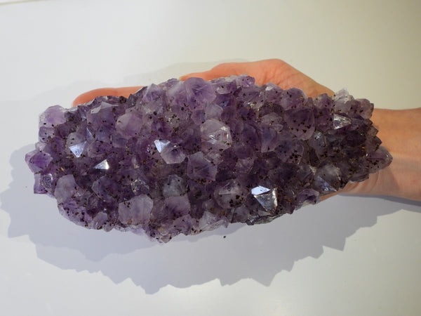 Amethyst cluster