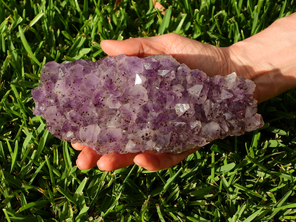 Amethyst cluster