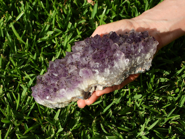 Amethyst cluster