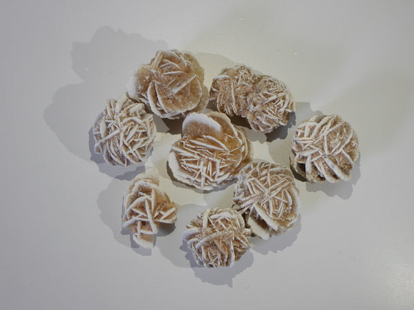 Desert Rose Selenite clusters