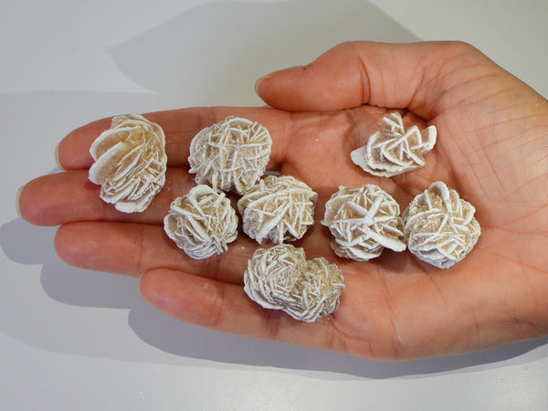 Desert Rose Selenite clusters