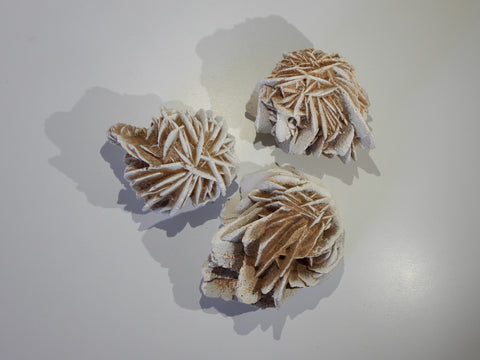 Desert Rose Selenite clusters