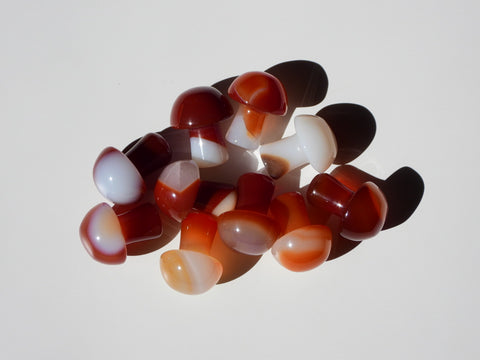 Carnelian mini mushrooms